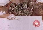 Image des Marines des États-Unis Saipan Îles Mariannes du Nord, 1944, de la seconde 24 séquences d'archives historiques vidéo 65675059662
