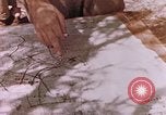 Image des Marines des États-Unis Saipan Îles Mariannes du Nord, 1944, de la seconde 29 séquences d'archives historiques vidéo 65675059662