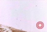 Immagine di Stati Uniti Marines Saipan Isole Marianne Settentrionali, 1944, secondo 1 filmato di repertorio 65675059664