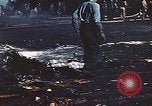Image of USS Intrepid Pacific Ocean, 1945, second 13 stock footage video 65675059672