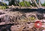 Image États-Unis 27e Division d'infanterie Makin Island Kiribati Islands, 1943, de la seconde 58 séquences d'archives historiques vidéo 65675059698