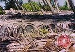 Image États-Unis 27e Division d'infanterie Makin Island Kiribati Islands, 1943, de la seconde 59 séquences d'archives historiques vidéo 65675059698
