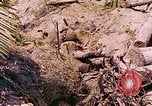 Image États-Unis 27e Division d'infanterie Makin Island Kiribati Islands, 1943, de la seconde 15 séquences d'archives historiques vidéo 65675059699