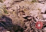 Image États-Unis 27e Division d'infanterie Makin Island Kiribati Islands, 1943, de la seconde 16 séquences d'archives historiques vidéo 65675059699