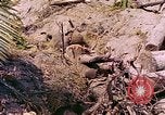 Image États-Unis 27e Division d'infanterie Makin Island Kiribati Islands, 1943, de la seconde 17 séquences d'archives historiques vidéo 65675059699
