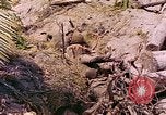 Image États-Unis 27e Division d'infanterie Makin Island Kiribati Islands, 1943, de la seconde 18 séquences d'archives historiques vidéo 65675059699