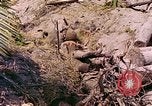 Image États-Unis 27e Division d'infanterie Makin Island Kiribati Islands, 1943, de la seconde 19 séquences d'archives historiques vidéo 65675059699