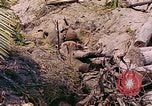 Image États-Unis 27e Division d'infanterie Makin Island Kiribati Islands, 1943, de la seconde 21 séquences d'archives historiques vidéo 65675059699