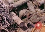 Image États-Unis 27e Division d'infanterie Makin Island Kiribati Islands, 1943, de la seconde 22 séquences d'archives historiques vidéo 65675059699