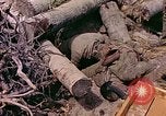 Image États-Unis 27e Division d'infanterie Makin Island Kiribati Islands, 1943, de la seconde 23 séquences d'archives historiques vidéo 65675059699