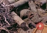 Image États-Unis 27e Division d'infanterie Makin Island Kiribati Islands, 1943, de la seconde 24 séquences d'archives historiques vidéo 65675059699