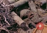 Image États-Unis 27e Division d'infanterie Makin Island Kiribati Islands, 1943, de la seconde 25 séquences d'archives historiques vidéo 65675059699