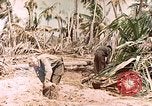 Image of United States Marines Makin Island Kiribati Islands, 1943, second 1 stock footage video 65675059703