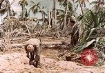 Image of United States Marines Makin Island Kiribati Islands, 1943, second 4 stock footage video 65675059703