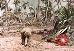 Image of United States Marines Makin Island Kiribati Islands, 1943, second 7 stock footage video 65675059703