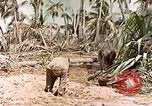 Image of United States Marines Makin Island Kiribati Islands, 1943, second 14 stock footage video 65675059703