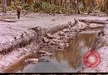 Image of US 27th Infantry Division Makin Island Kiribati Islands, 1943, second 3 stock footage video 65675059704