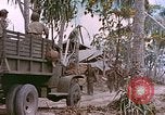 Image of US 27th Infantry Division Makin Island Kiribati Islands, 1943, second 37 stock footage video 65675059704