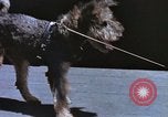 Image of USS Yorktown Pacific Ocean, 1943, second 18 stock footage video 65675059705