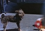 Image of USS Yorktown Pacific Ocean, 1943, second 23 stock footage video 65675059705