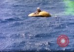 Immagine di Air sea rescue Oceano Pacifico, 1945, secondo 39 filmato di repertorio 65675059714