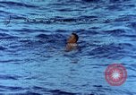 Image of Landing Craft Vehicle Personnel Pacific Ocean, 1945, second 1 stock footage video 65675059723