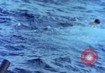 Image of Landing Craft Vehicle Personnel Pacific Ocean, 1945, second 12 stock footage video 65675059723