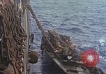 Standbild Landing Ship Tank Pazifik, 1945, aus Sekunde 13 historischem Filmmaterial Videoclip 65675059729