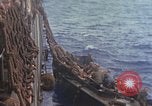 Standbild Landing Ship Tank Pazifik, 1945, aus Sekunde 15 historischem Filmmaterial Videoclip 65675059729