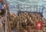 Standbild Landing Ship Tank Pazifik, 1945, aus Sekunde 50 historischem Filmmaterial Videoclip 65675059729