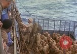 Standbild Landing Ship Tank Pazifik, 1945, aus Sekunde 51 historischem Filmmaterial Videoclip 65675059729