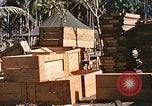 Image of Seabees constructing cargo containers Leyte Philippines, 1945, second 44 stock footage video 65675059732