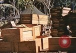 Image of Seabees constructing cargo containers Leyte Philippines, 1945, second 45 stock footage video 65675059732