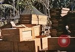 Image of Seabees constructing cargo containers Leyte Philippines, 1945, second 47 stock footage video 65675059732