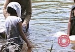 Image of Natives washing clothes in a river Leyte Philippines, 1945, second 57 stock footage video 65675059733