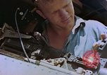 Image of Navy pb4y-1 aircraft Pacific Theater, 1945, second 52 stock footage video 65675059738