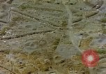 Image of invasion convoy Iwo Jima, 1945, second 23 stock footage video 65675059739