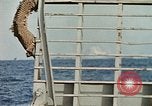 Image of United States Marines Pacific Ocean, 1945, second 14 stock footage video 65675059745
