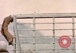 Image of US Marines beach landing at Iwo Jima Iwo Jima, 1945, second 41 stock footage video 65675059746