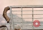 Image of US Marines beach landing at Iwo Jima Iwo Jima, 1945, second 42 stock footage video 65675059746