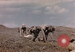 Image of United States Marines Iwo Jima, 1945, second 46 stock footage video 65675059747