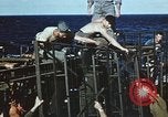 Image des Marines des États-Unis Océan Pacifique, 1945, de la seconde 19 séquences d'archives historiques vidéo 65675059752