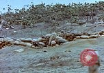 Image of Field Howitzer Iwo Jima, 1945, second 9 stock footage video 65675059758