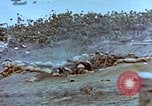 Image of Field Howitzer Iwo Jima, 1945, second 33 stock footage video 65675059758