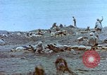 Image of Field Howitzer Iwo Jima, 1945, second 44 stock footage video 65675059758