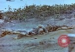 Image of Field Howitzer Iwo Jima, 1945, second 50 stock footage video 65675059758