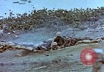 Image of Field Howitzer Iwo Jima, 1945, second 56 stock footage video 65675059758
