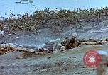 Image of Field Howitzer Iwo Jima, 1945, second 57 stock footage video 65675059758