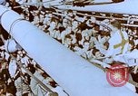 Image of Ash Wednesday services Pacific Ocean, 1945, second 16 stock footage video 65675059759