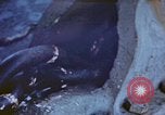 Image of anchor Pacific Ocean, 1945, second 1 stock footage video 65675059760